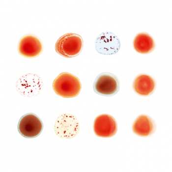 2CD Peter Gabriel: Scratch My Back / And I'll Scratch Yours