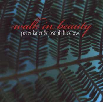 Album Peter Kater: Walk In Beauty