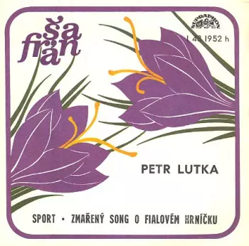 Šafrán: Sport • Zmařený Song O Fialovém Hrníčku