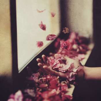 Album Petre Inspirescu: Vîntul Prin Salcii