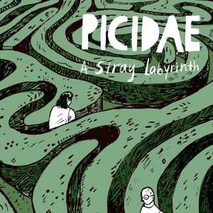 LP Picidae: A Stray Labyrinth