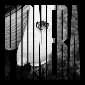 LP Pionera: Bolsa De Piedras LTD