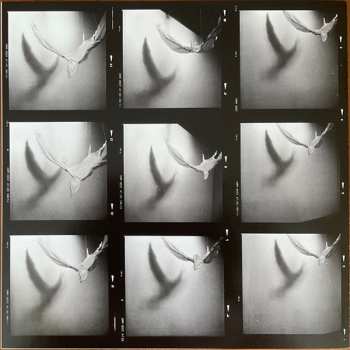 LP Porridge Radio: Clouds In The Sky They Will Always Be There For Me CLR