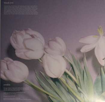 LP Portland: Champain CLR