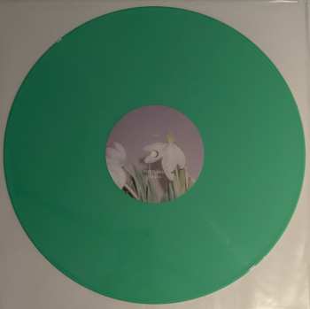 LP Portland: Champain CLR