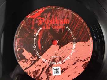LP Posthum: Like Wildfire