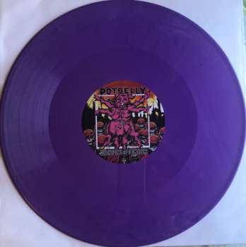 LP Potbelly: Disciples Of Fiction / Concierto En Vivo Desde Costa Rica