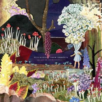 Album Psychedelic Porn Crumpets: And Now For The Whatchamacallit