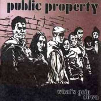 Album Public Enemy: What's Goin Down