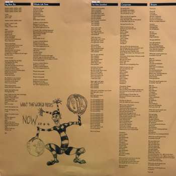 2LP Public Image Limited: What The World Needs Now...