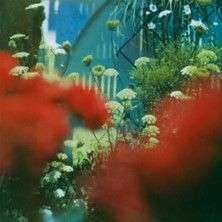 LP Pulled Apart By Horses: The Haze LTD