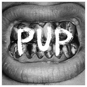 CD PUP: PUP