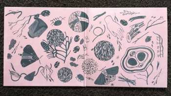 LP Purity Ring: Another Eternity LTD | CLR