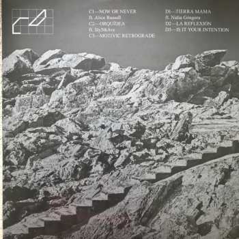 2LP Quantic: Atlantic Oscillations