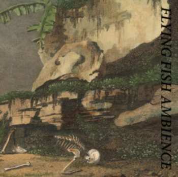 Album Rainforest Spiritual Enslavement: Flying Fish Ambience