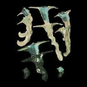 LP Rainforest Spiritual Enslavement: Jellyfish Reproduce Black Magic