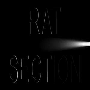 CD Rat Section: What Stays In Vegas LTD