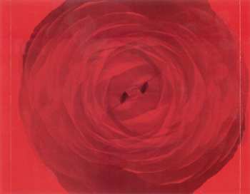 CD The Fusion Experience: Ray Harris & The Fusion Experience