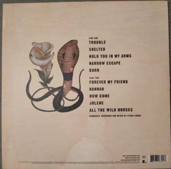 LP Ray Lamontagne: Trouble