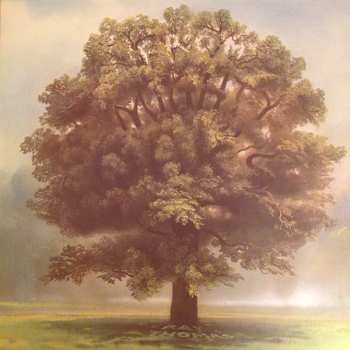 LP Ray Thomas: From Mighty Oaks
