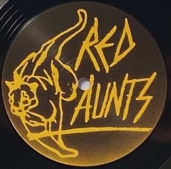 2LP Red Aunts: Come Up For A Closer Look