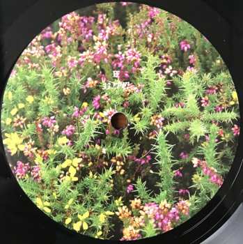 LP Red River Dialect: Broken Stay Open Sky