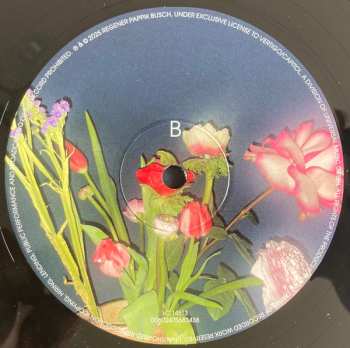 LP Sven Regener: Field Of Lights LTD