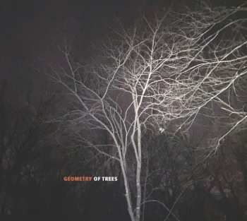 Album Joe Morris: Geometry Of Trees