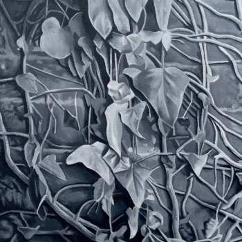 Album Reigns: The Walled Garden