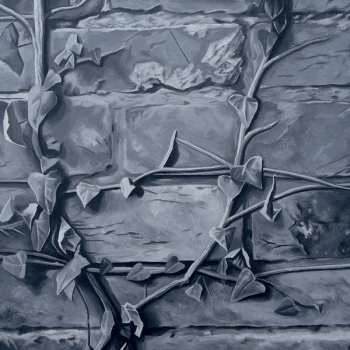 LP Reigns: The Walled Garden