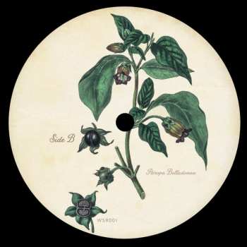 LP Reigns: The Walled Garden