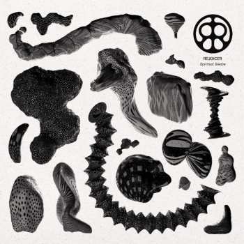LP Rejoicer: Spiritual Sleaze