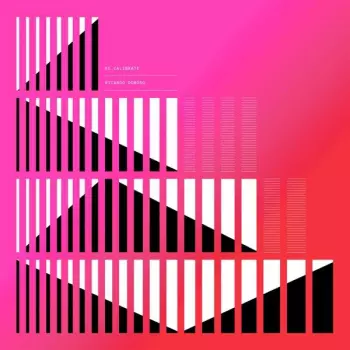 Ricardo Donoso: Re_Calibrate