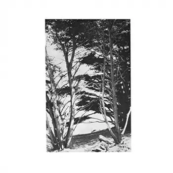 Rick Deitrick: Gentle Wilderness