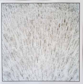 2LP Ride: 4 EPs LTD | CLR