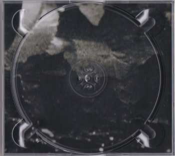 CD Rise To Fall: The Fifth Dimension