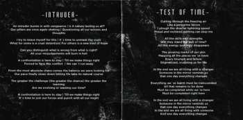 CD Rise To Fall: The Fifth Dimension