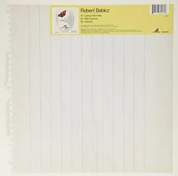 Robert Babicz: Losing Memories