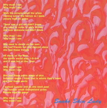 CD Robert Forster: Warm Nights