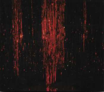 Album Robert Piotrowicz: Afterlife