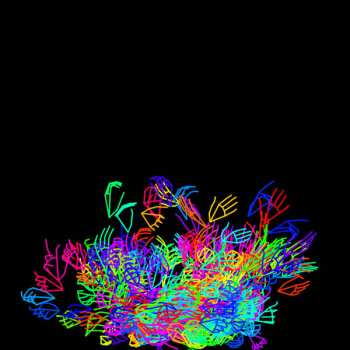 LP Robert Stillman: 10,000 Rivers