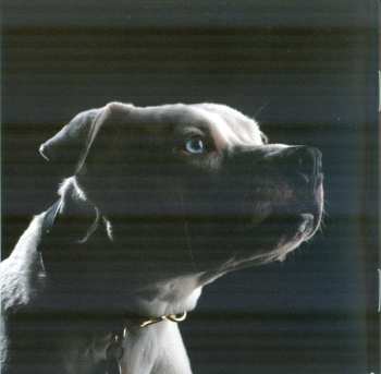 CD Roger Waters: The Dark Side Of The Moon Redux