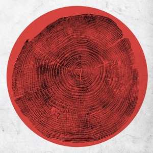 Album Roy Montgomery: Q: Transient Global Amnesia