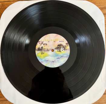 LP Rubblebucket: Year Of The Banana