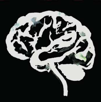 LP Ruins: Brain Flakes