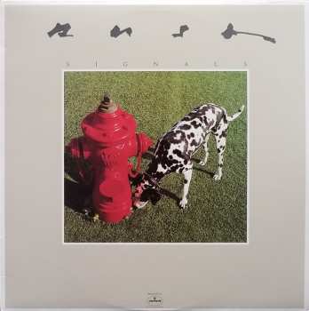 LP Rush: Signals