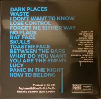 LP Ryan Adams: 1985