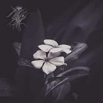 Album Sáasil: Ephemeral