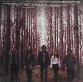 LP Sacred Shrines: Enter the Woods