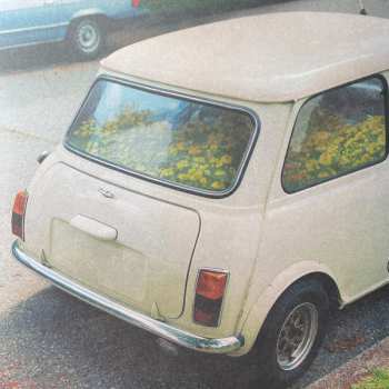 LP Said The Whale: Dandelion  CLR